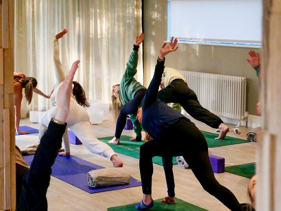 Stretch & Flex Class