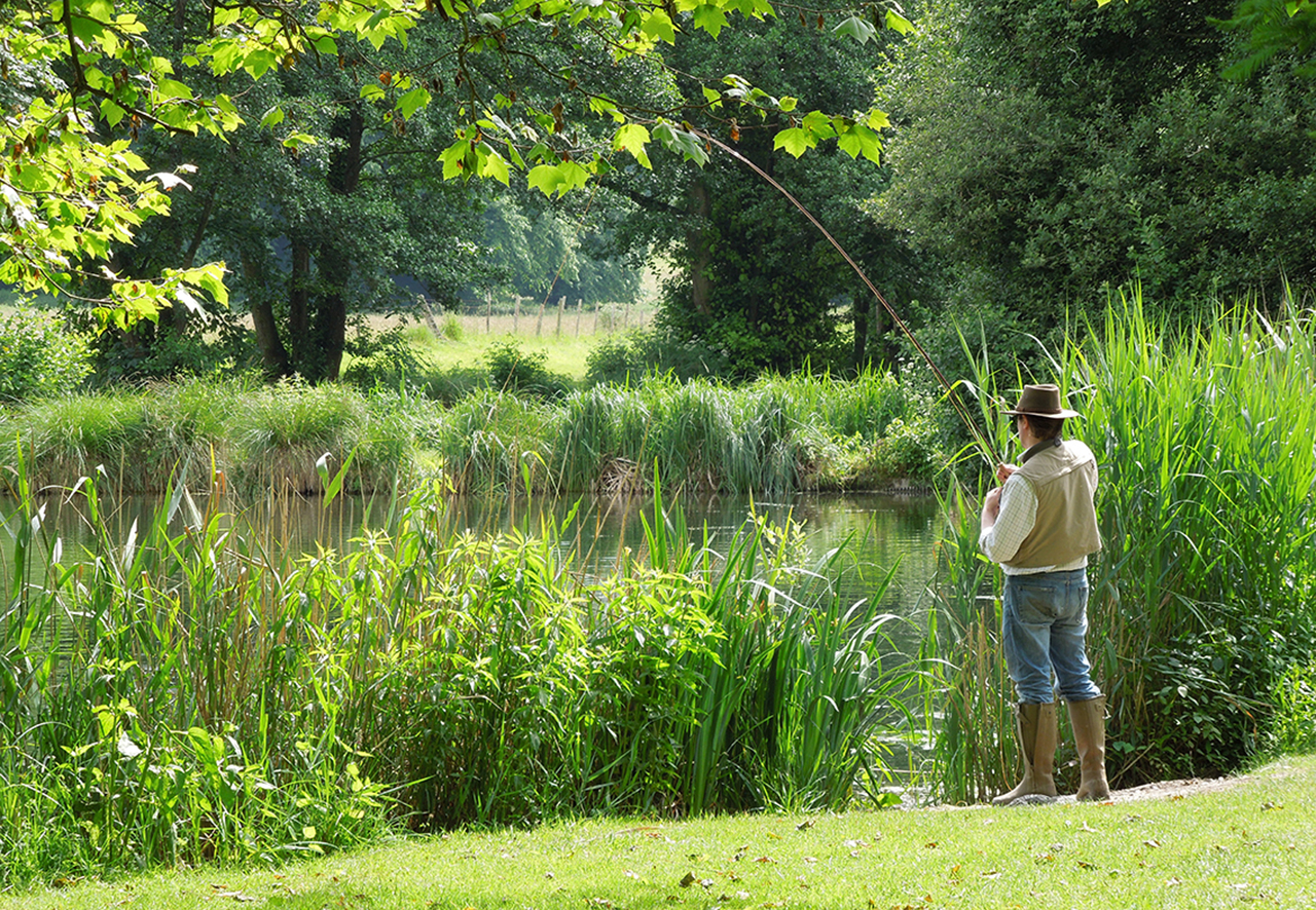 AVINGTON TROUT FISHERY