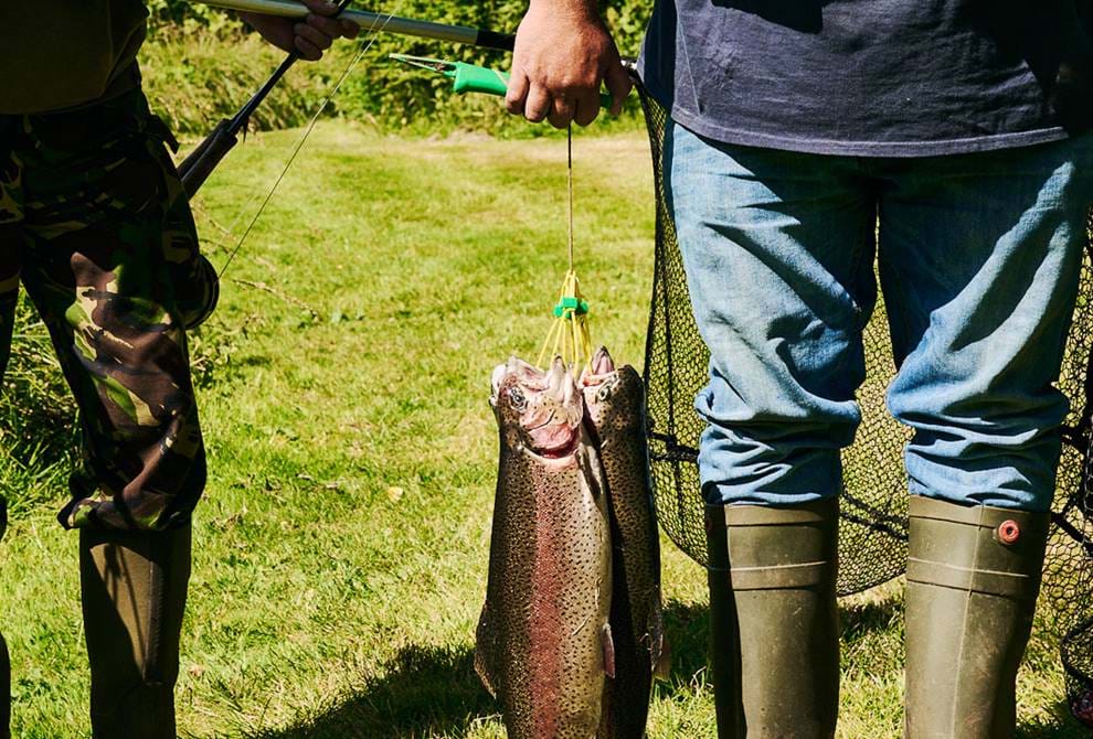 Catch & Cook