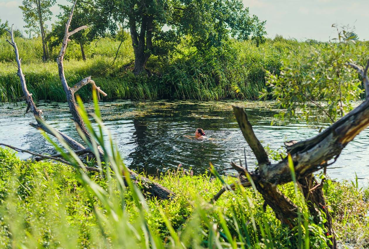 Wild Swimming