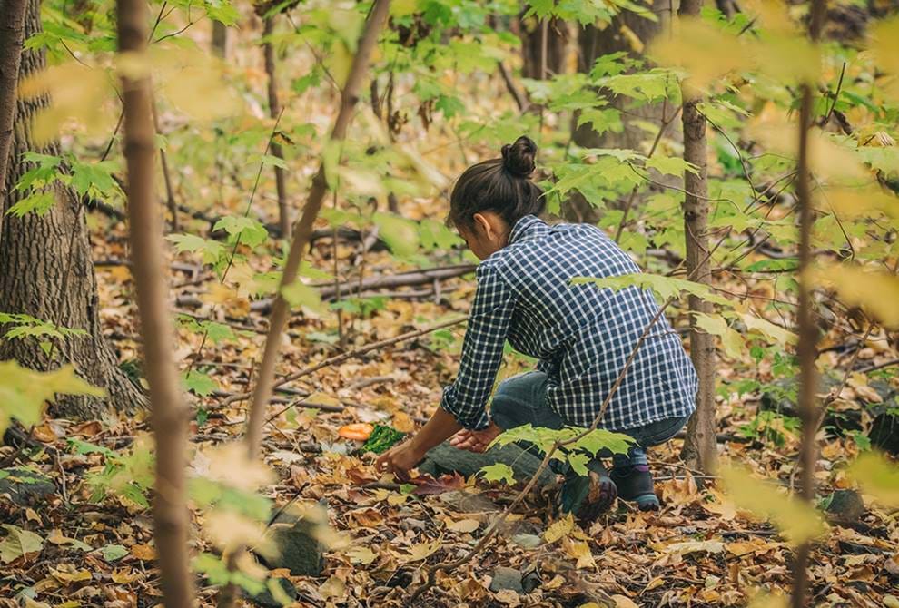 Foraging Walks