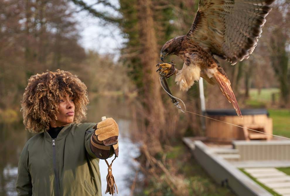 Falconry