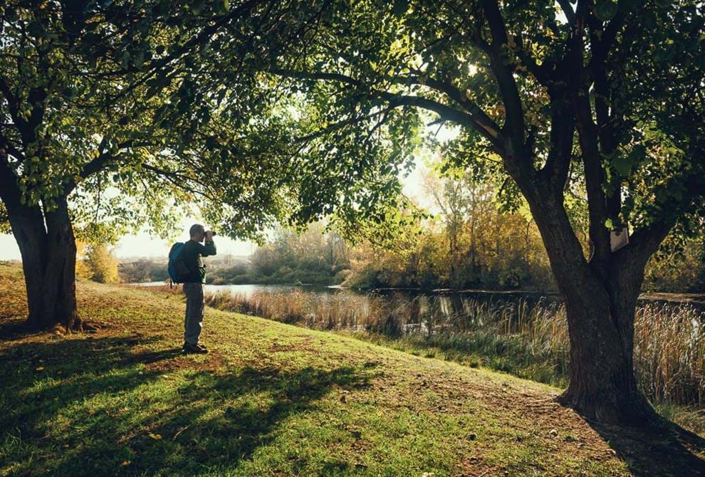 Birdwatching