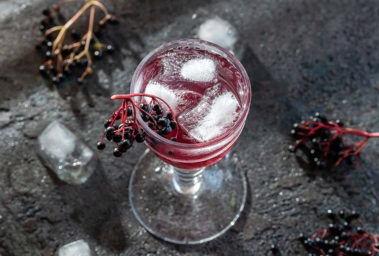 Foraging Cocktails